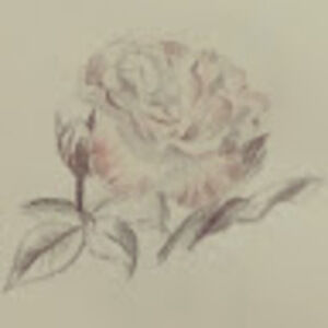 Meet your Posher, Mssy